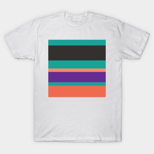 A world-class melt of Orange Pink, Big Foot Feet, Christmas Purple, Persian Green and Dark Grey stripes. T-Shirt